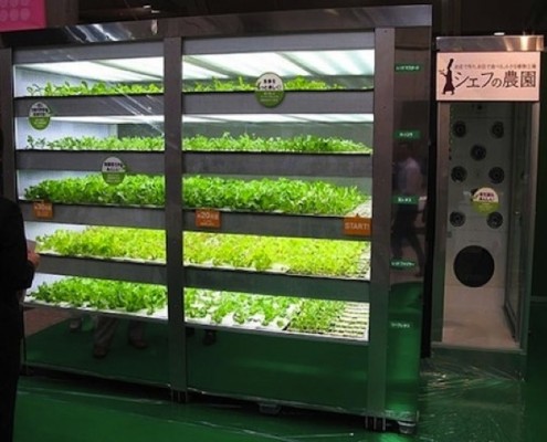 Lettuce Vending Machines